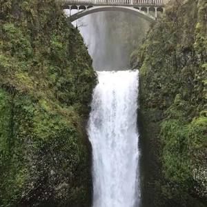 Meet your Posher, Kristi